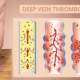 deep vein thrombosis (DVT) in Maryland